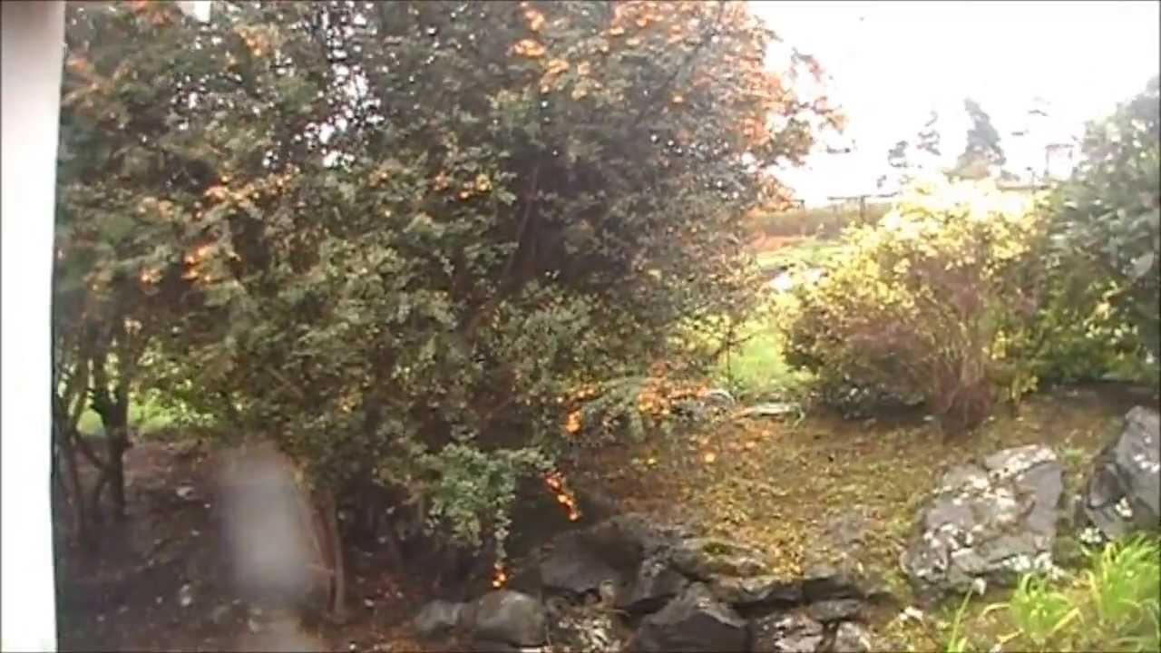 Auntie Katie´s Old Cottage Ireland Ballyvaughan County Clare 2013