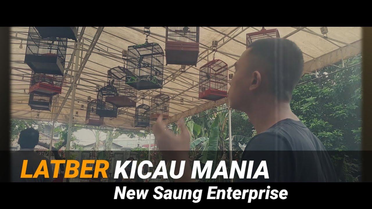 LATBER KACER MANIA [ NEW SAUNG ENTERPRISE BEKASI ]
