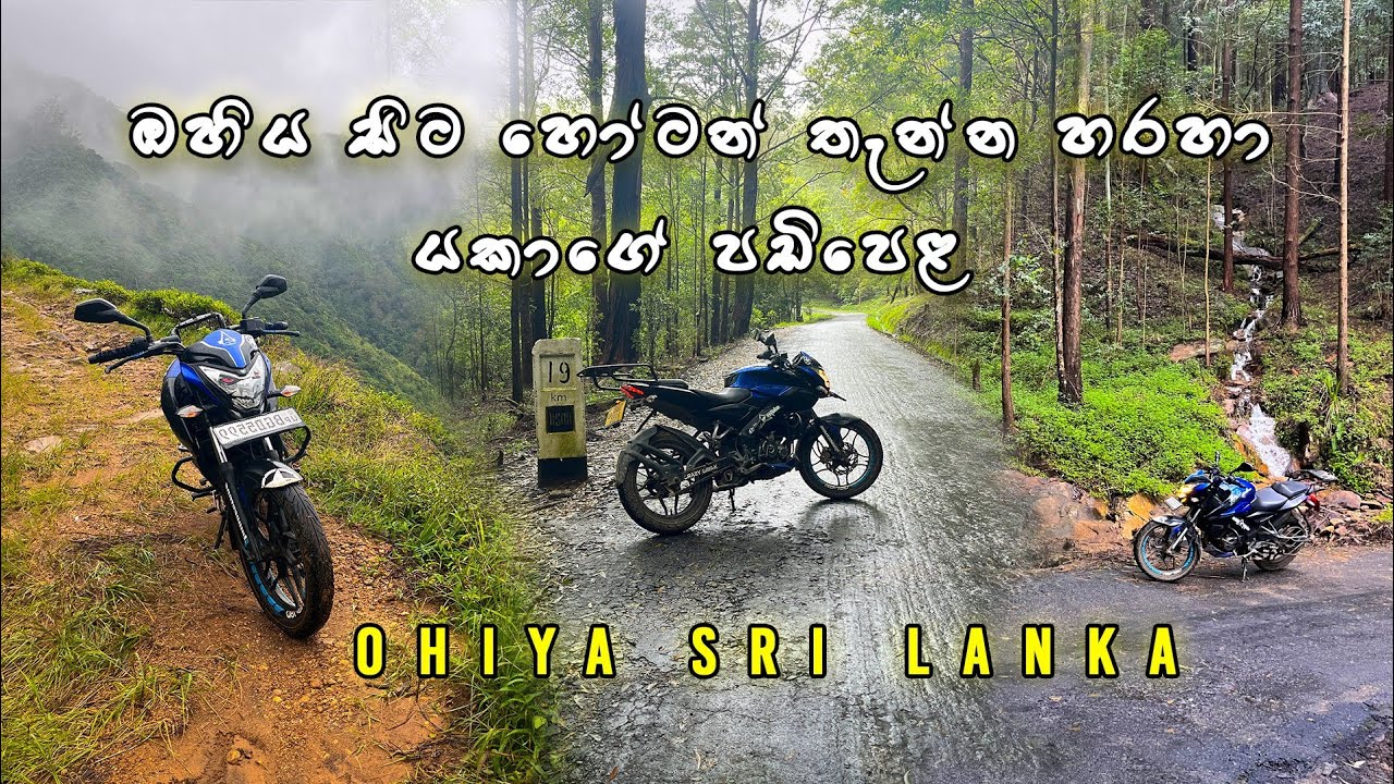 ඔහිය සිට හෝටන් තැන්න හරහා යකාගේ පඩිපෙල | Ohiya Sri Lanka | Ohiya to Devils Staircase | sinhala vlog