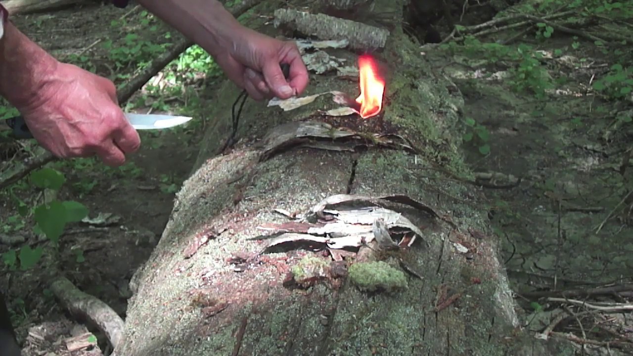 🔥 Faire du feu sans alllumette ni briquet  (astuce de survie)