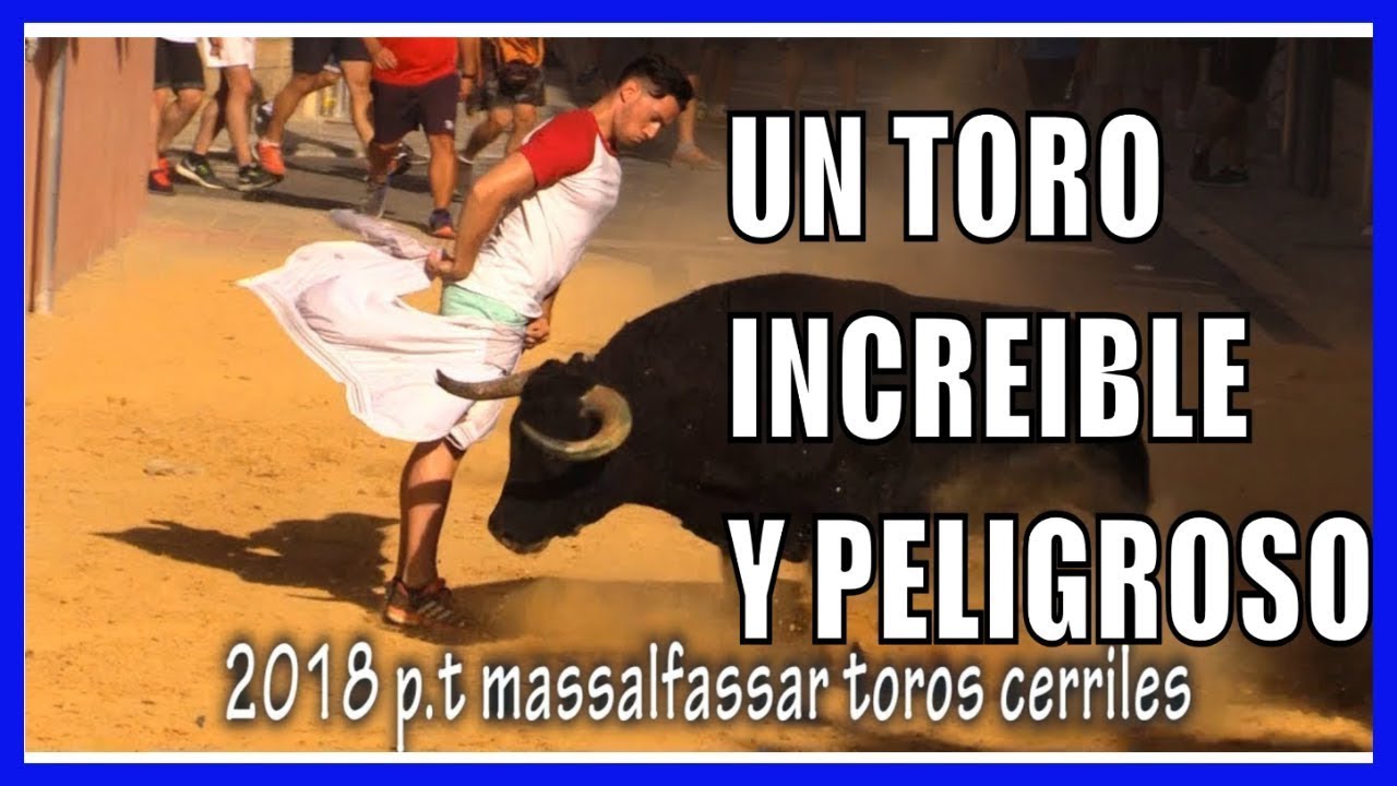 UNO DE LOS TOROS MAS BRAVOS DEL MUNDO QUE HE VISTO MASSALFASSAR