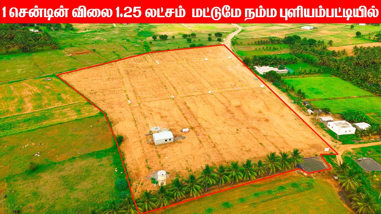 😀 நம்ம புளியம்பட்டியில் 1 சென்டின் விலை 1.25 லட்சம் மட்டுமே | Land For Sale in Puliyampatti
