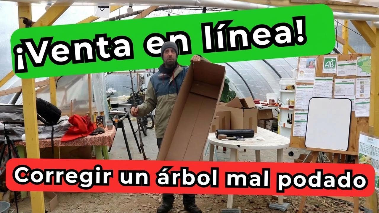 ¿Vendiste árboles en línea y cometiste errores al podarlos? Así puedes solucionarlo