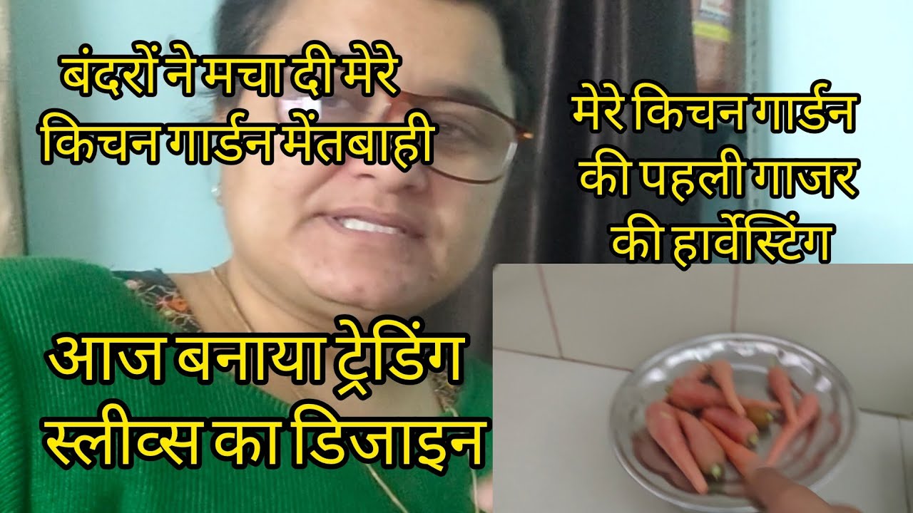बंदरों ने किया किचन गार्डन तबाह/किचन गार्डन की पहली गाजरउखाड़ी/बाजू में यह डिजाइन  ll