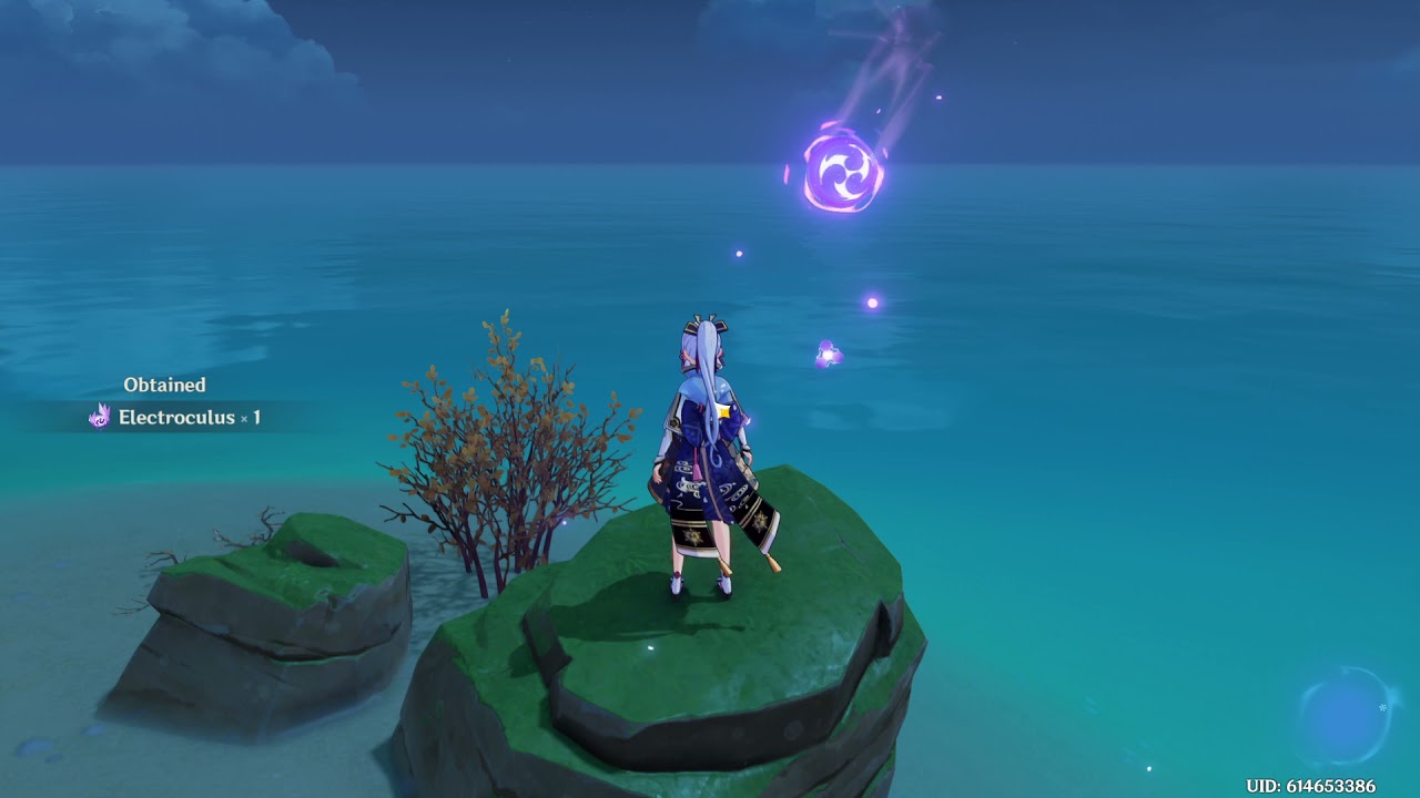 Genshin Impact | Hidden Electroculus and Exquisite Chest
