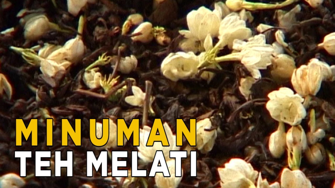 Manfaat bunga melati bisa digunakan sebagai teh dan memiiki banyak manfaat | SISI LAIN