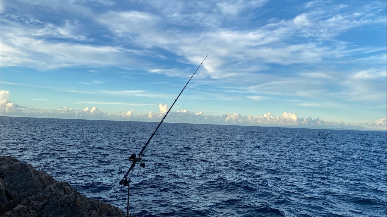 屋久島より生放送🎣 磯から伝説の魚を狙う夜のブッコミ釣りライブ