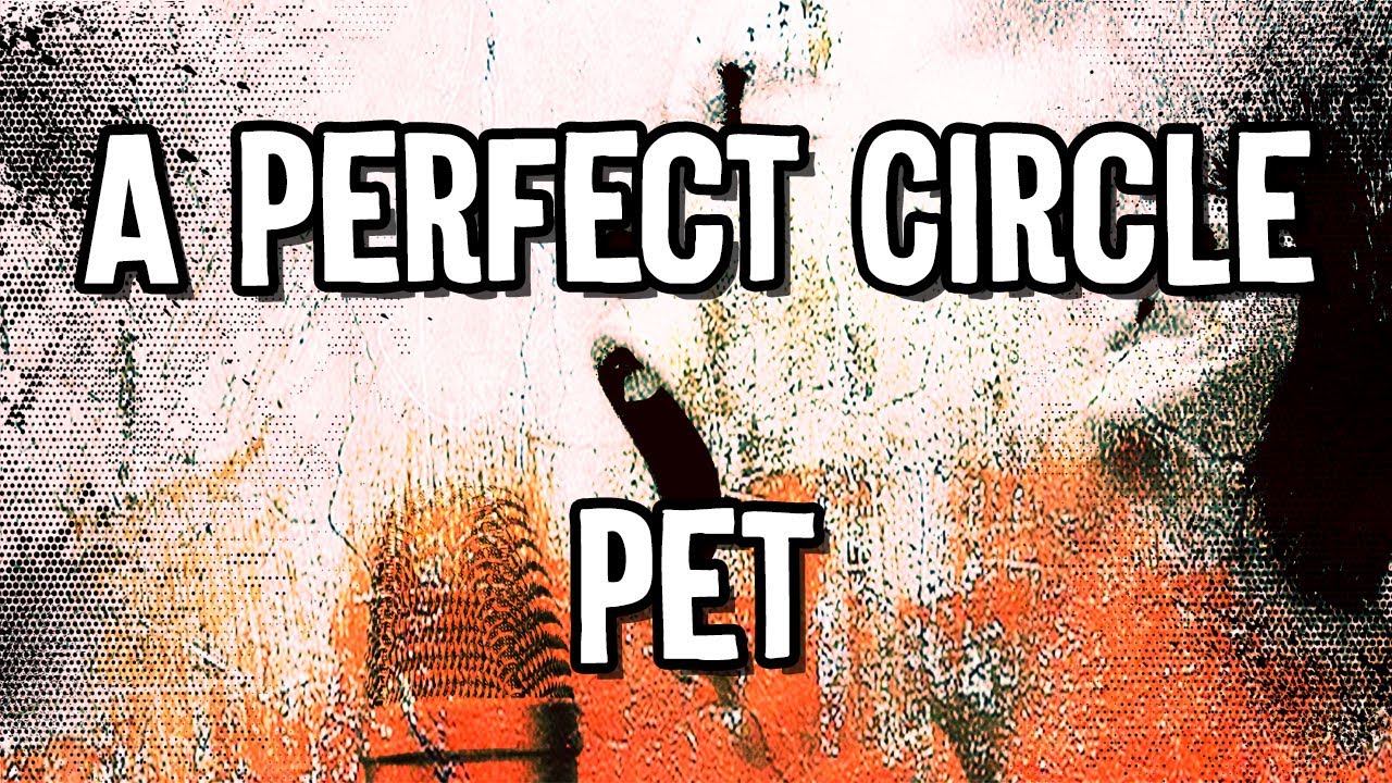 A Perfect Circle - Pet - Karaoke Instrumental