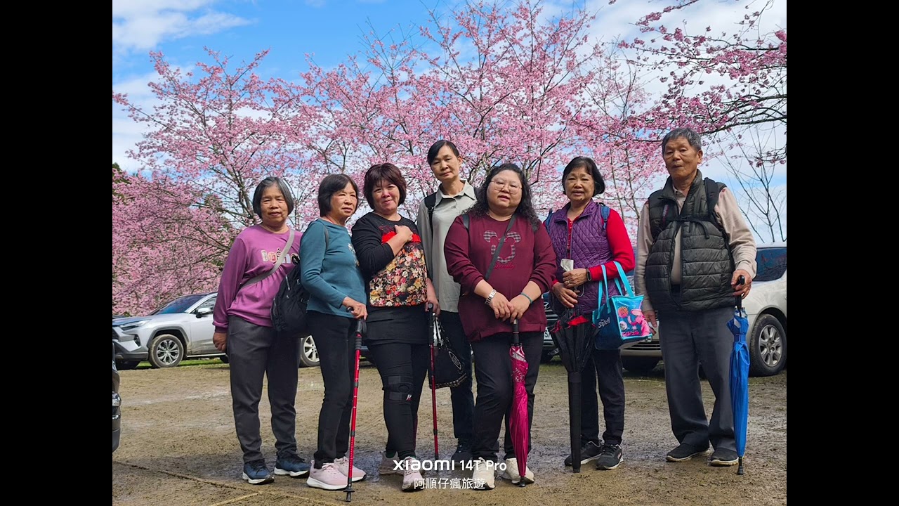 2026-03-01  山上人家櫻花季  阿順仔瘋旅遊精心規劃