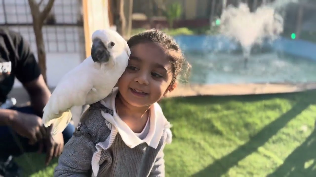 A day at Suhayla Farm | Mini Zoo | Wafra | Kuwait