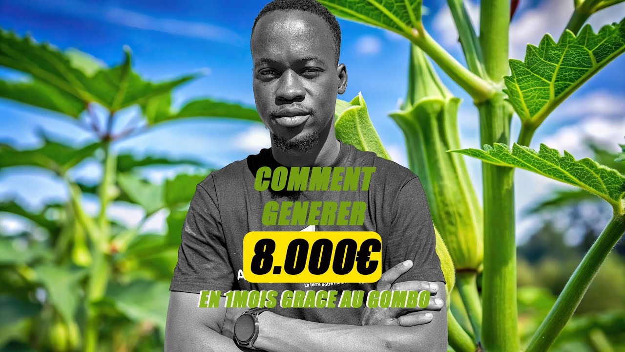 Comment gagner 5.000.000 f CFA avec la culture du gombo
