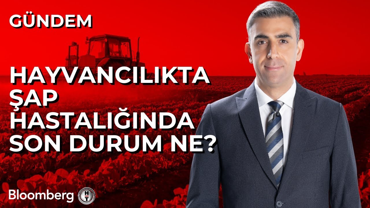 Hayvancılıkta Şap Hastalığında Son Durum Ne?