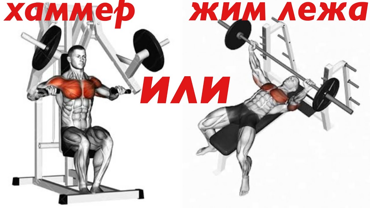 Жим лежа. Хаммер. Что лучше для проработки груди?