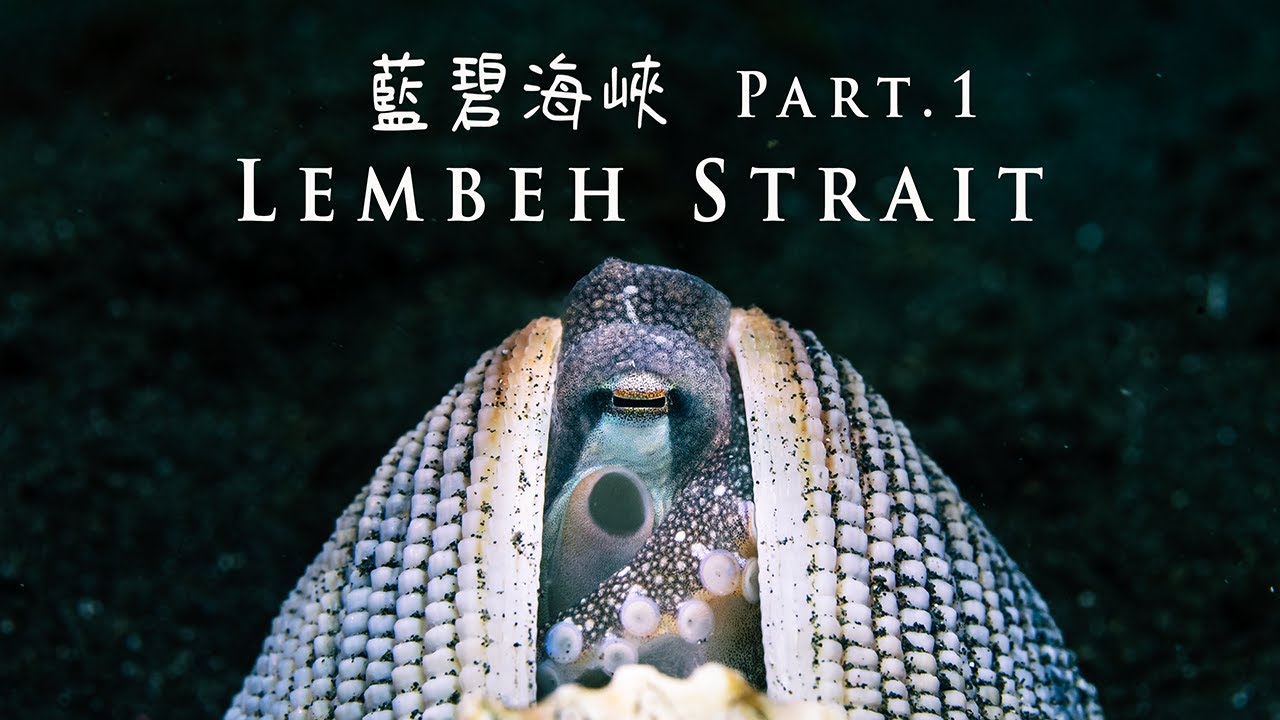 藍碧海峽/水中攝影微距天堂 Part 1  | Lembeh Strait: Macro Muck Diving Paradise