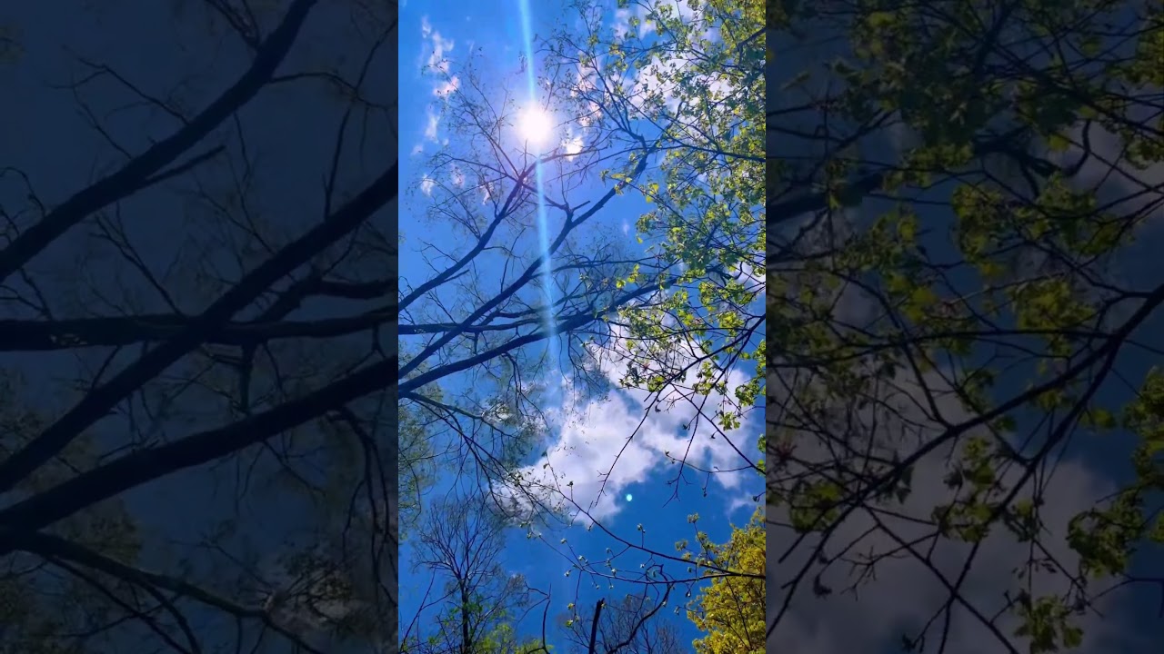Chasing clouds, catching dreams &mdash; just a sky lover lost in the blue.🩵💙🩵💙#skylover#canada