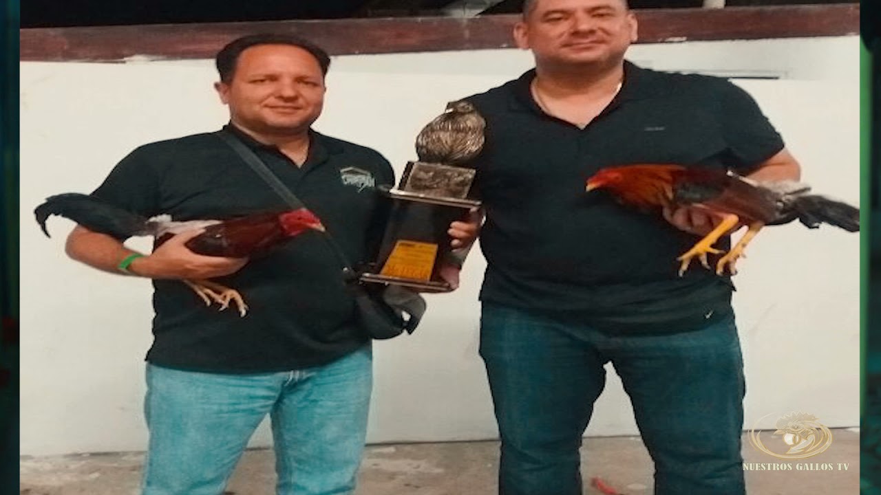 Entrevista de Don Javier Pérez y Heredero. I Parte.