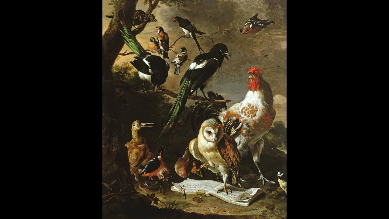 Antonio Vivaldi, Concerto in D major RV 226
