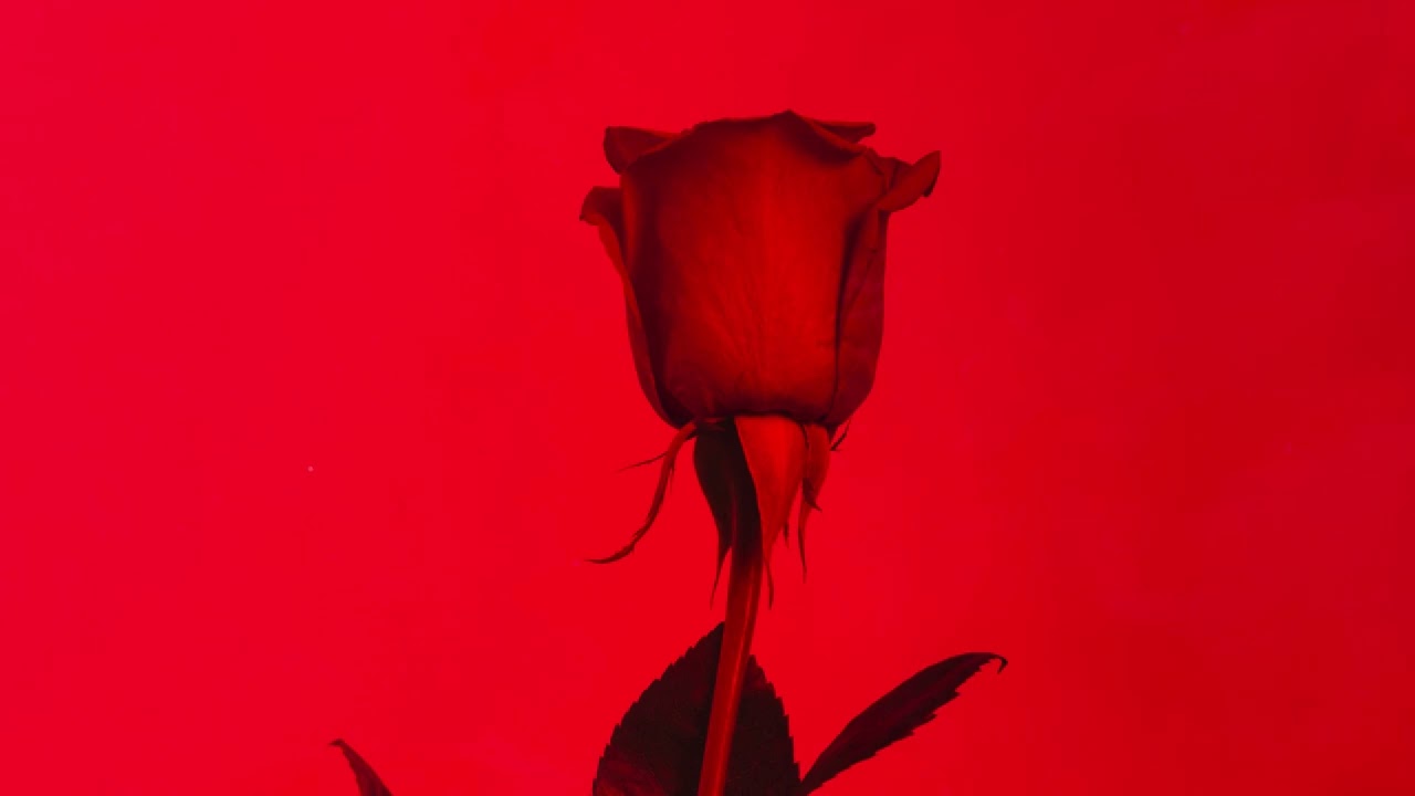 Private Hours – Deep Mood Soul