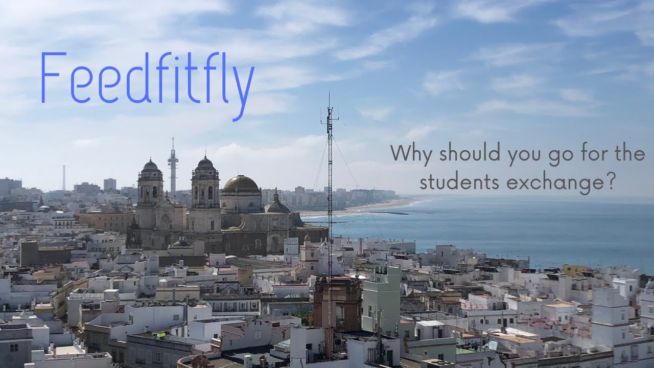 Why should you go to the students exchange?