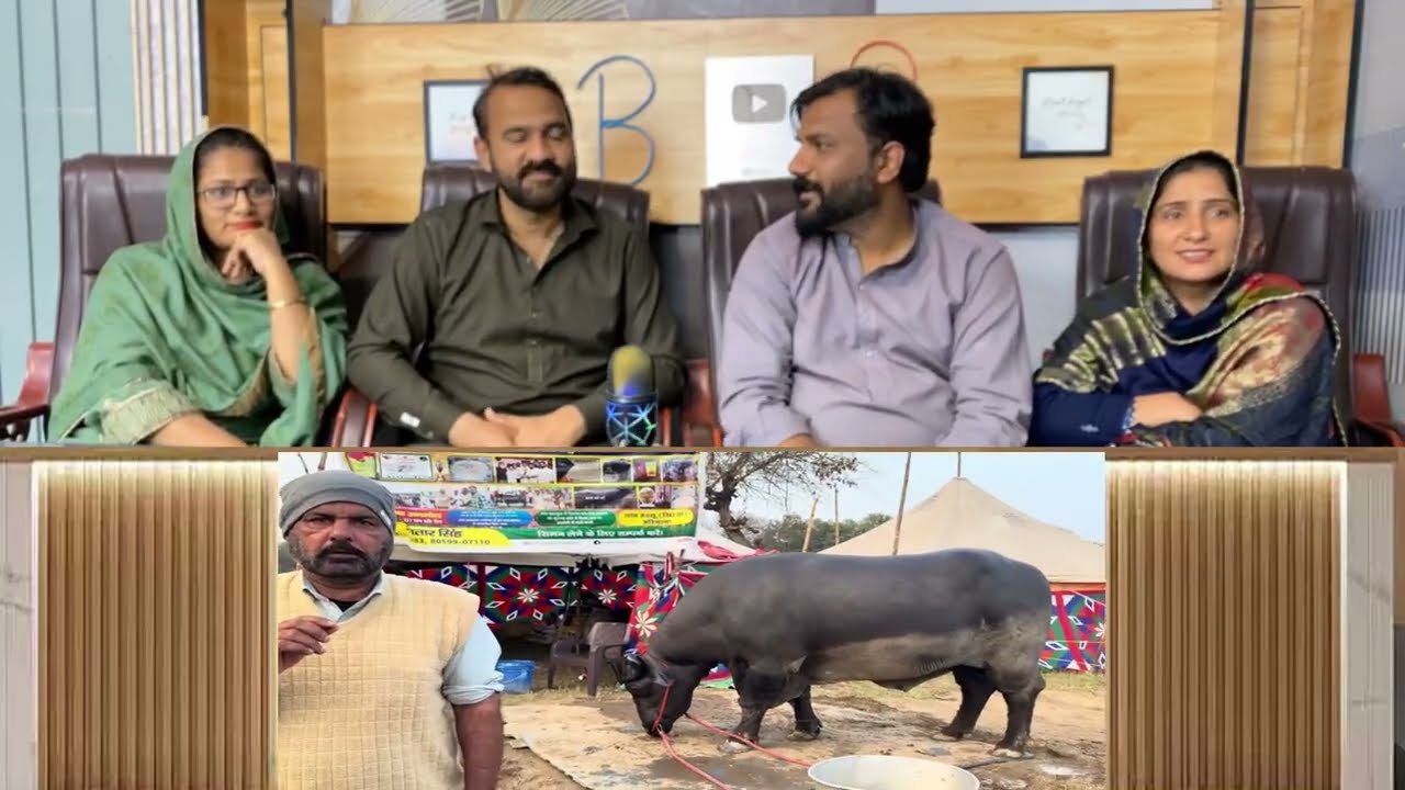 HORSE MELA IN PUNJAB || ਦੇਖੋ ਘੋੜੀਆਂ ਦਾ ਮੇਲਾ 🐎 || ਖੇੜੀ ਵਾਲੇ ਬਾਬੇ ਨੇ ਮੇਲਾ ਜਿੱਤ ਲਿਆ ❤️|| #punjab