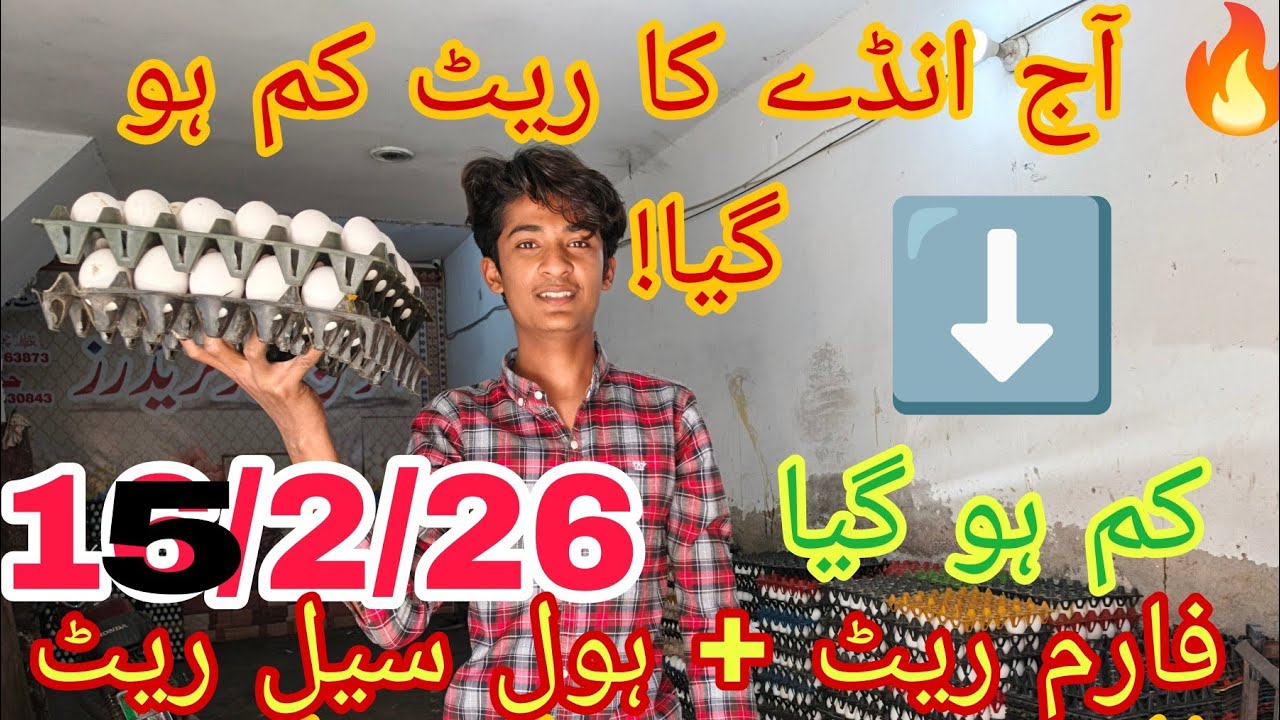 Lahore Eggs Rate Today | Anday Ka Rate Aaj Ka | Pakistan Egg Price Update