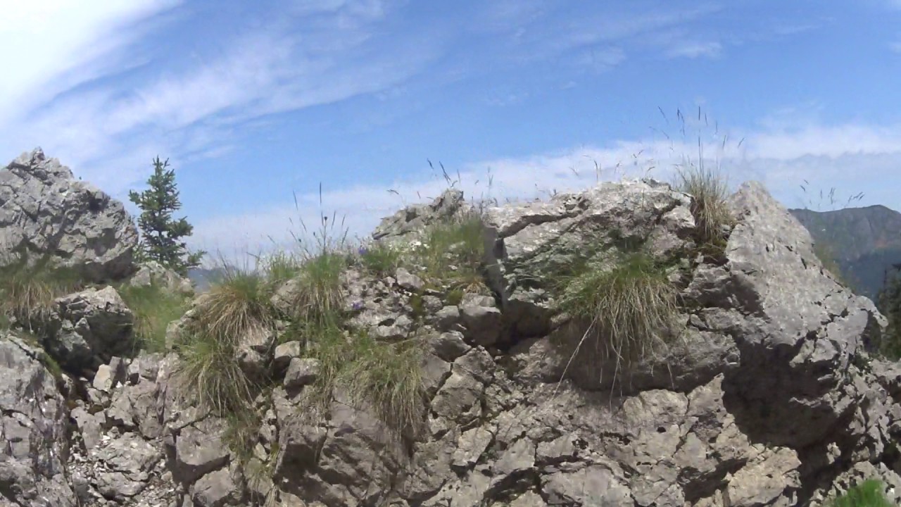 Offroad Safari Nacional Park Sutjeska