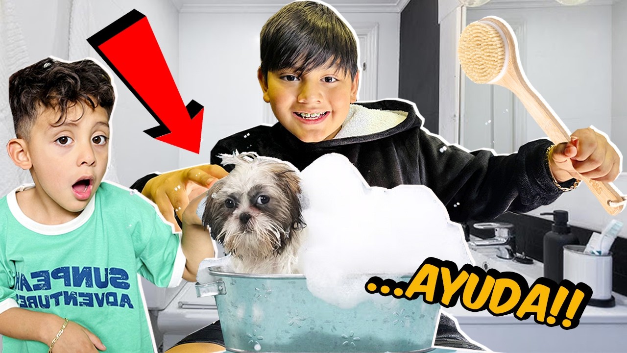 BAÑAMOS A KIMA por PRIMERA VEZ 🐶 | Family Juega