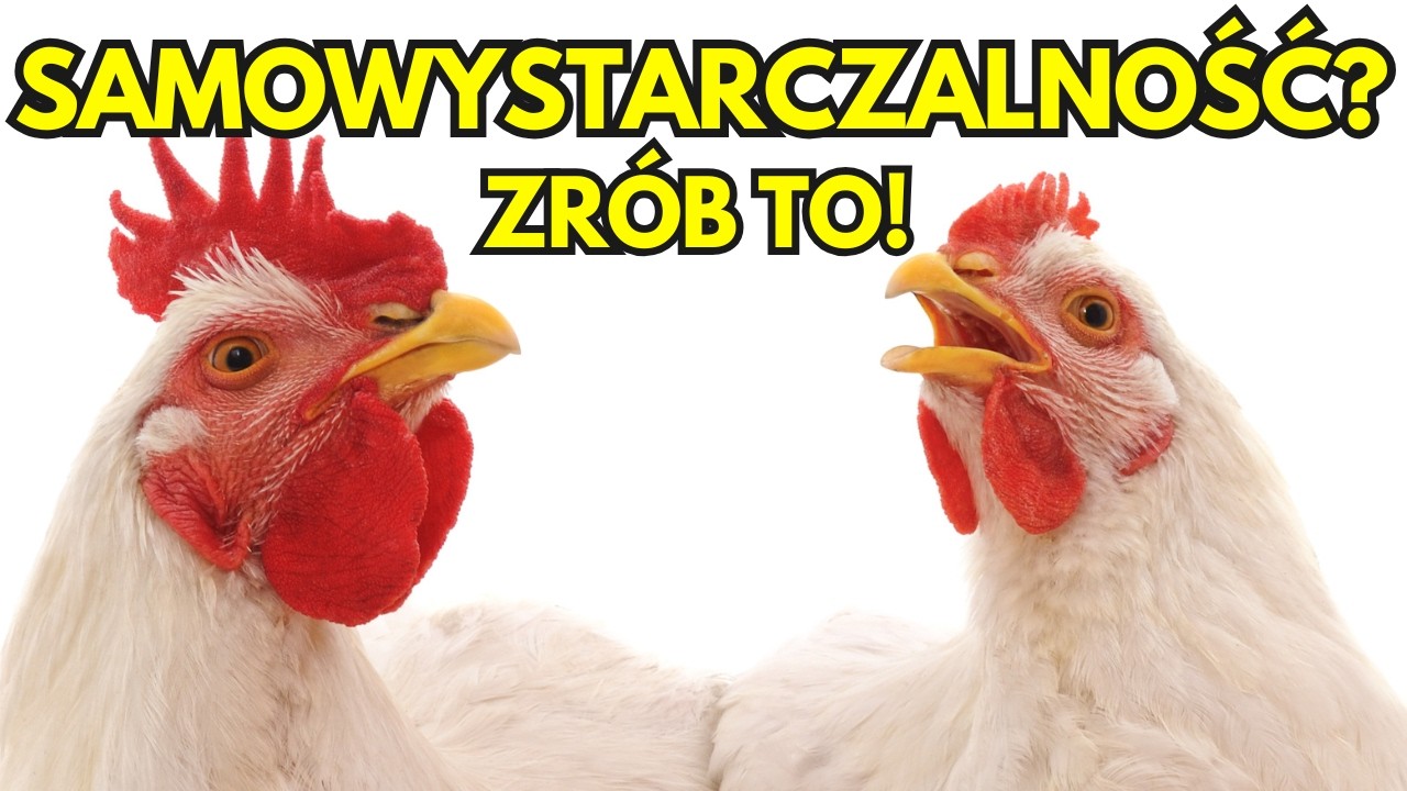 5 Powodów Dlaczego Każdy Ogród Powinien Mieć Kury -  Przydomowa Hodowla Kur Dla Każdego!