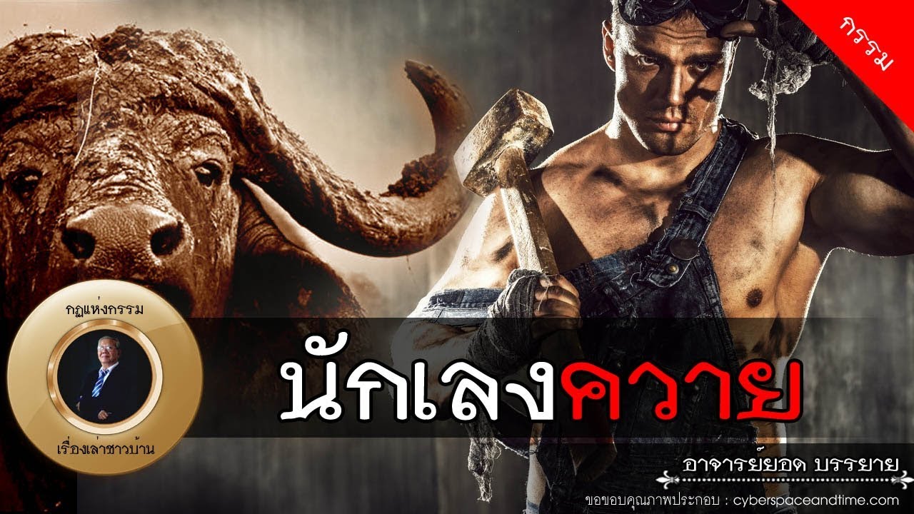อาจารย์ยอด : นักเลงควาย [กรรม]