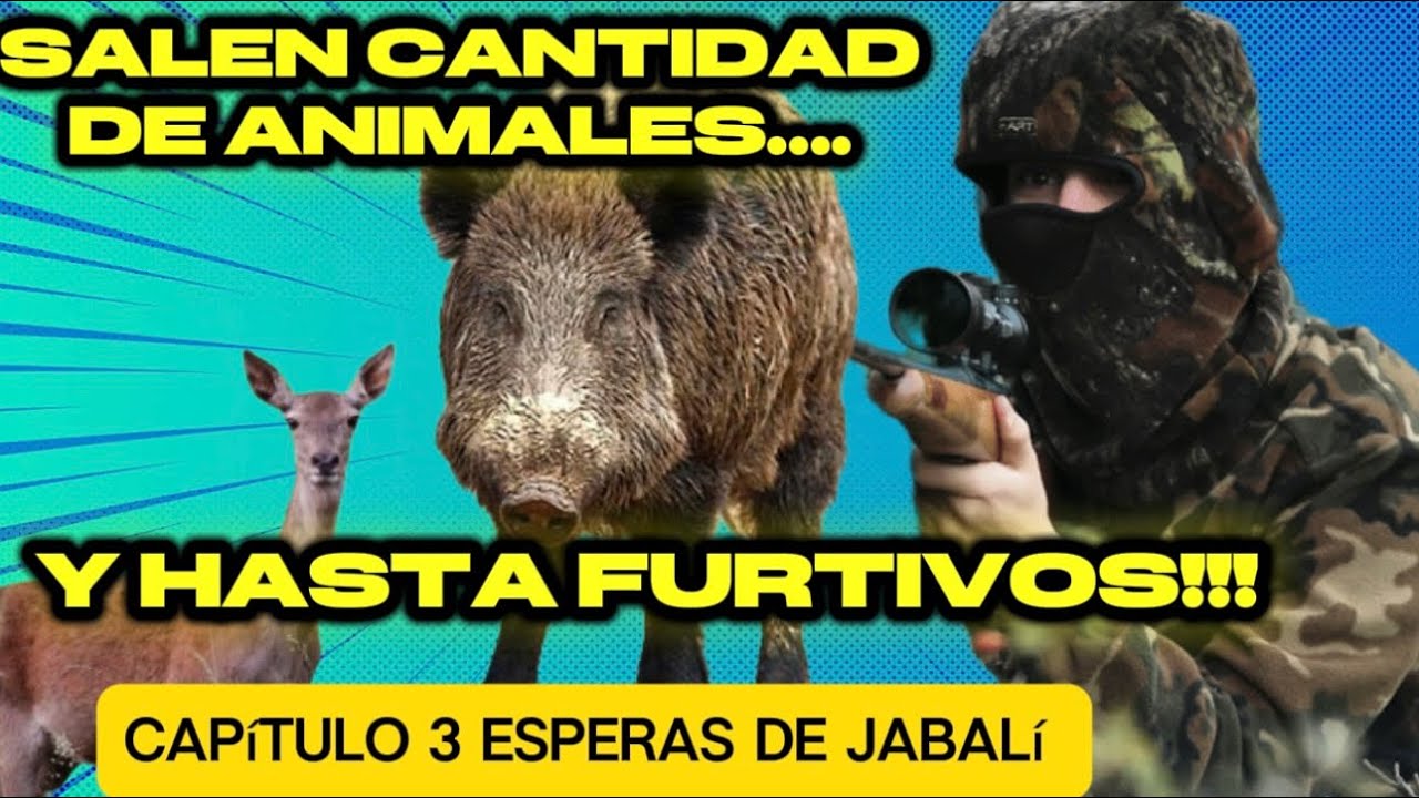  EL MACHO y FURTIVOS 😠ESPERAS DE JABALI - Temporada 2 - Capítulo 3 