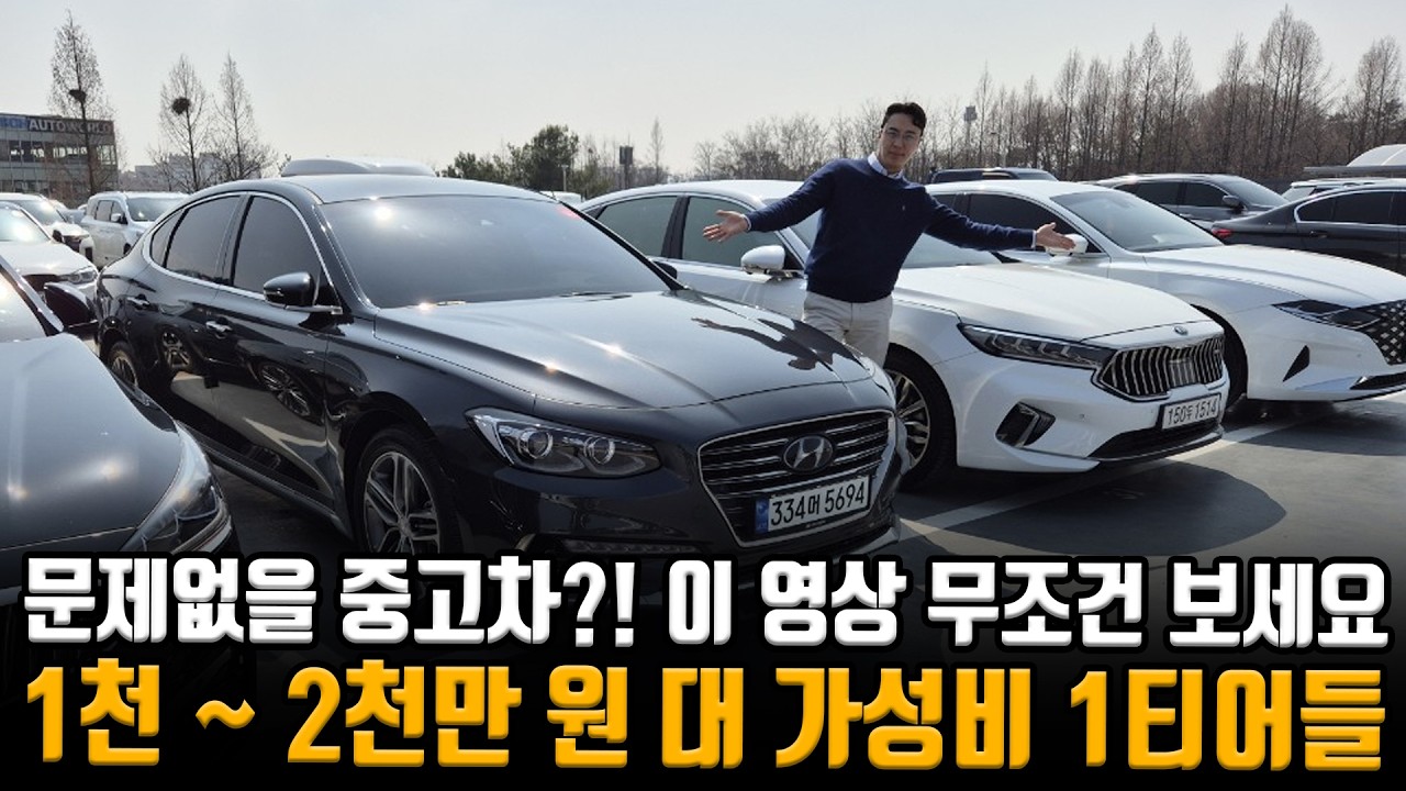 1~2천만 원 대 중고차 문제 없이 타실 분들은 무조건 제발 보세요!! 이런 걸 사야 문제 없음 ㅋㅋ