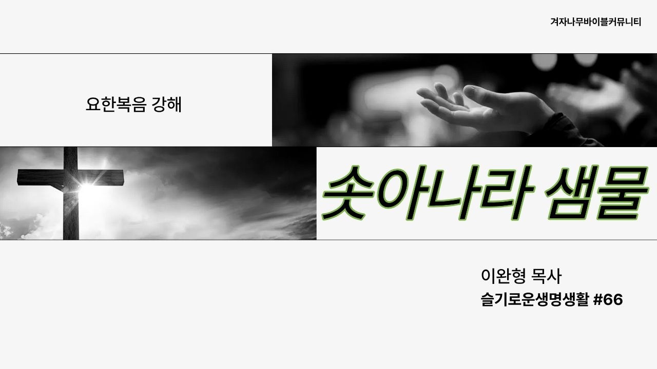 요한복음강해 (66) | 솟아나는 샘물 | 하늘양식 | 접점 | 강해설교 |  [슬기로운생명생활] #66 | [기본잘]  | 이완형 목사  | 겨자나무바이블커뮤니티