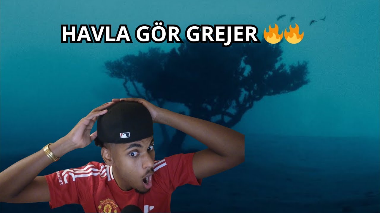 REACTION: Haval med låten Drip. HAN ÄR HELT GALEN🔥🔥
