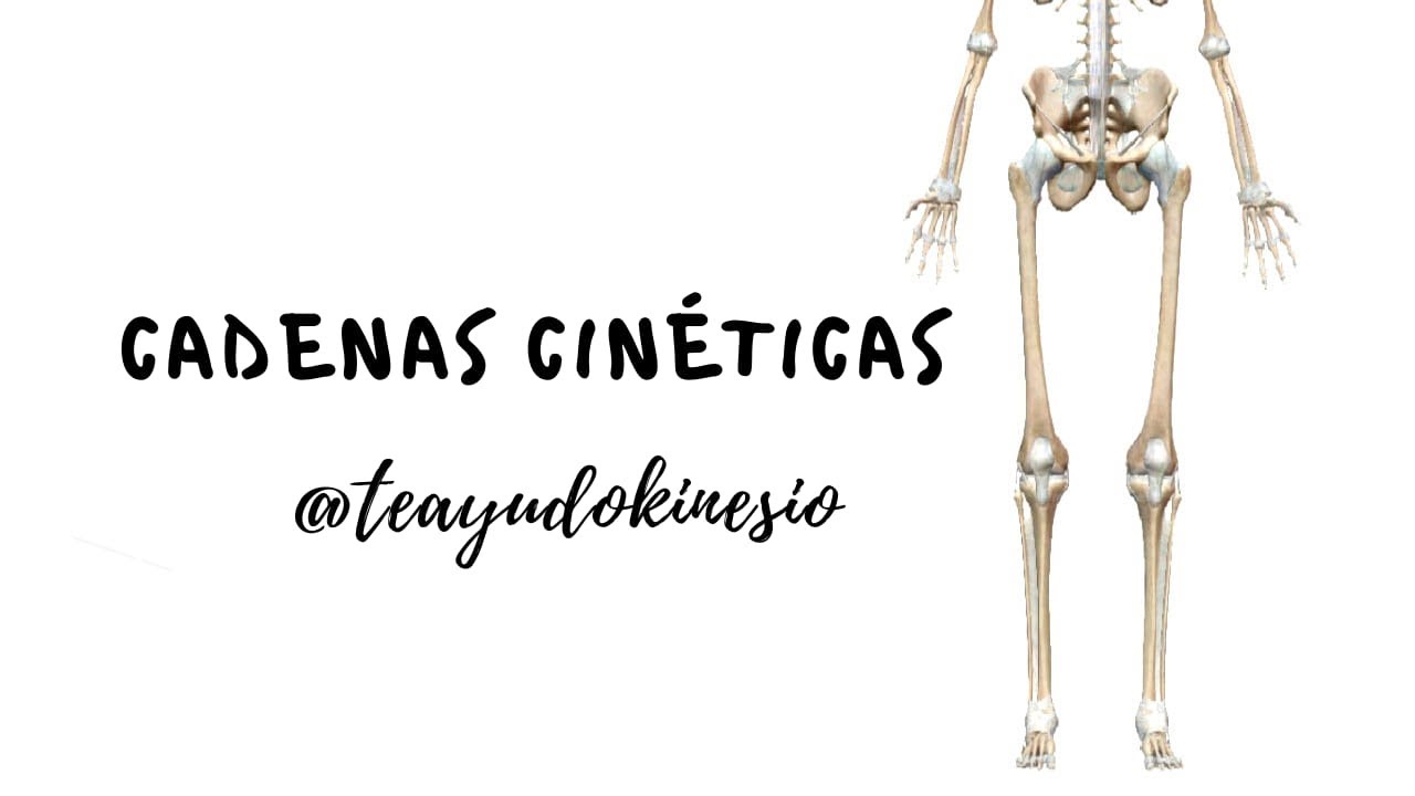 CADENAS CINÉTICAS: ABIERTAS, CERRADAS Y FRENADAS