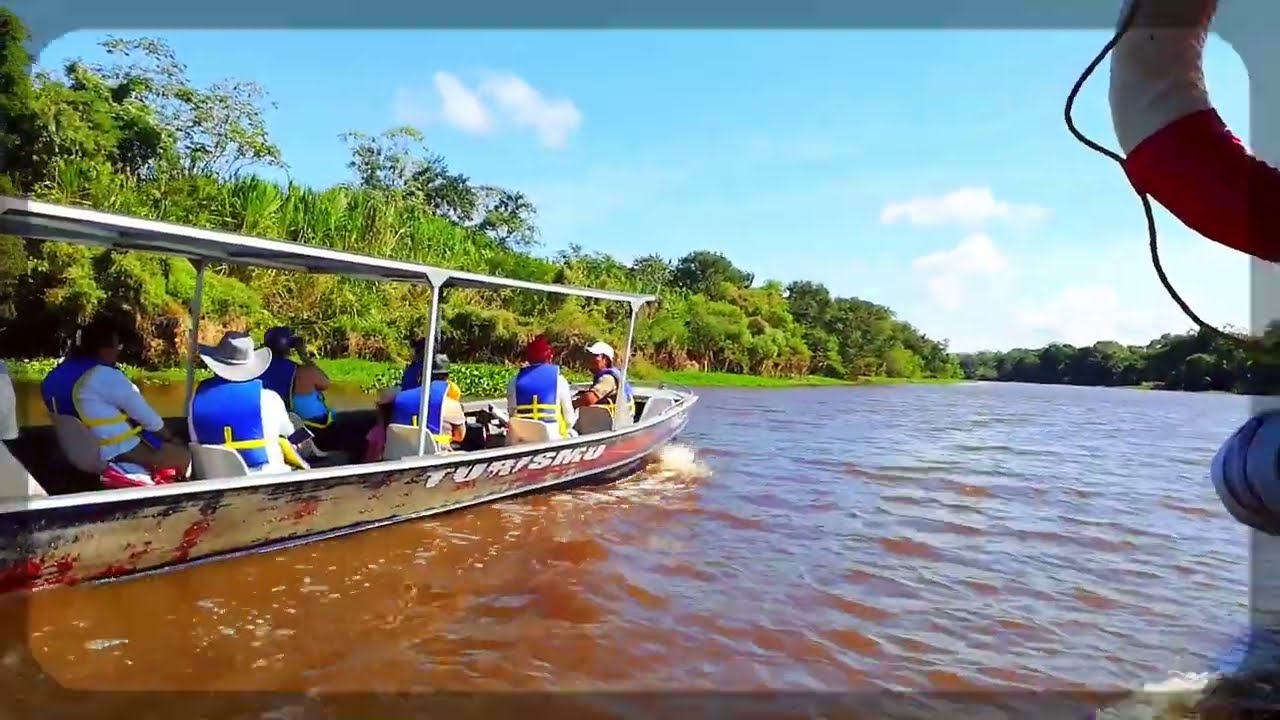 Bolivian Amazon Pink River Dolphin, tour from Trinidad