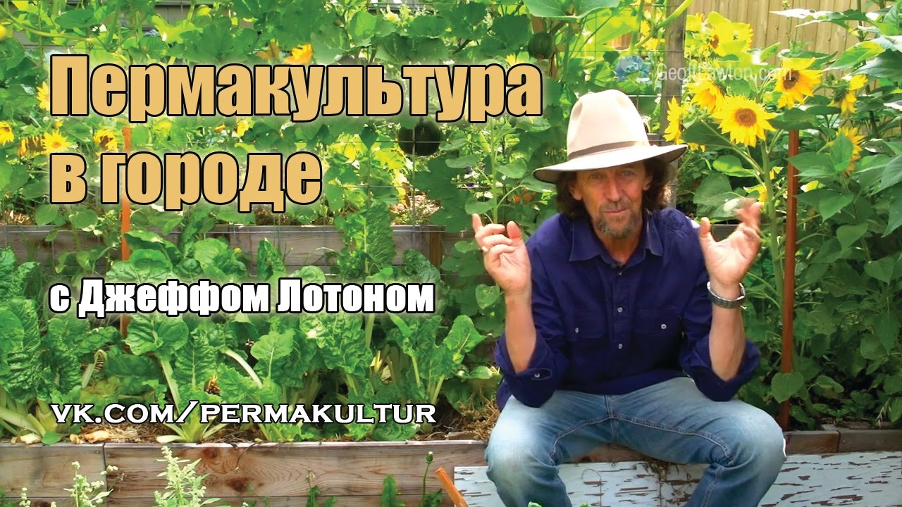 Джефф Лотон 