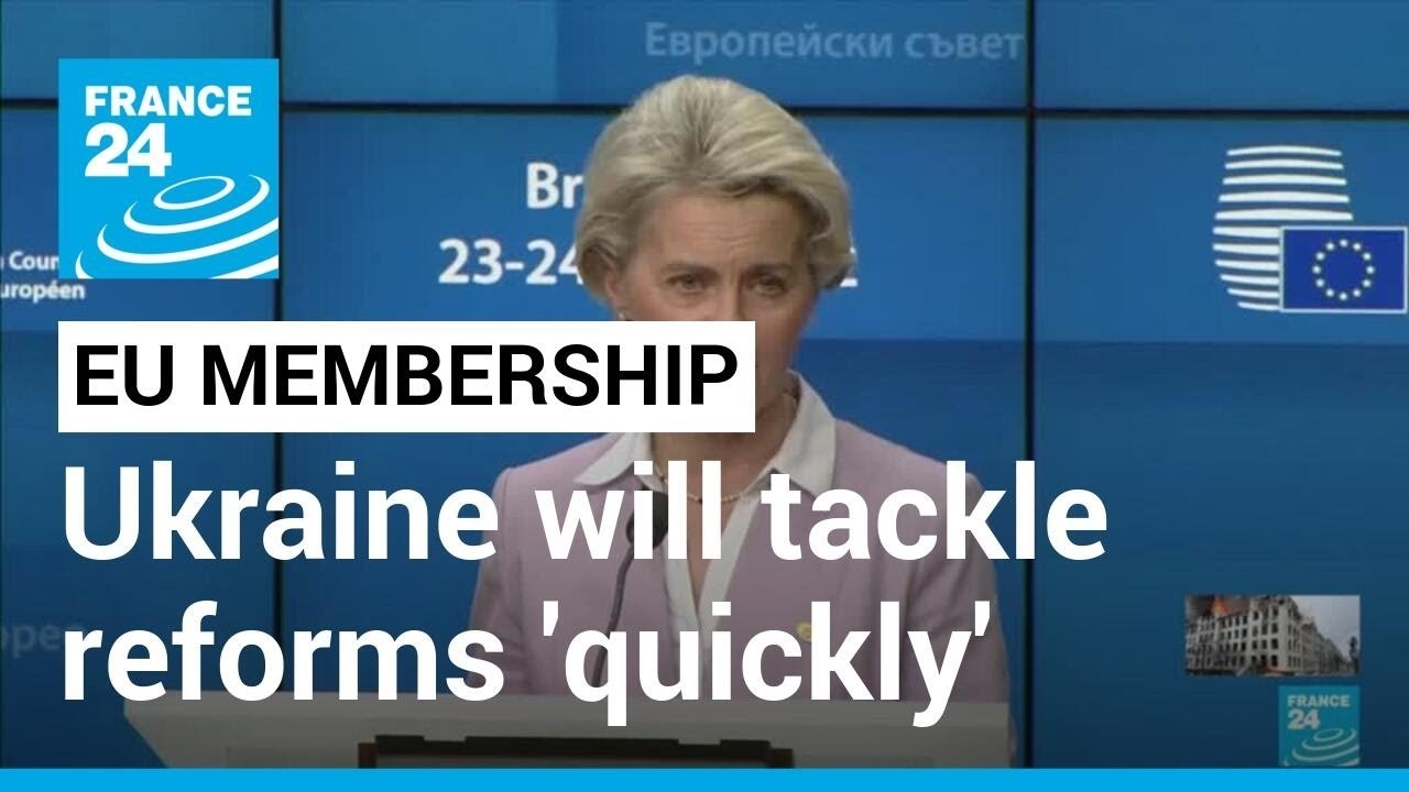 EU's von der Leyen says Ukraine, Moldova will tackle reforms quickly &bull; FRANCE 24 English