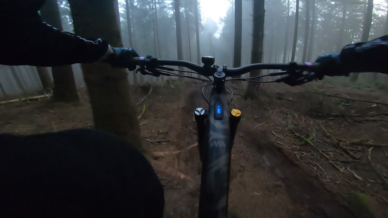 Königstuhl-Falknerei Classic-Geisberg-Steigerweg into the dark..