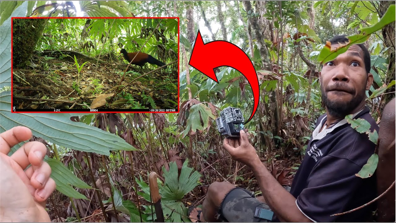 Finding Auwo: reacting to the first photo of this species!