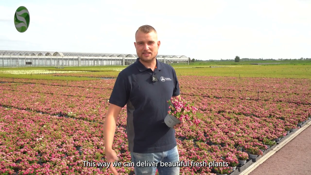 Grower of the month September 2025: M. Mathot