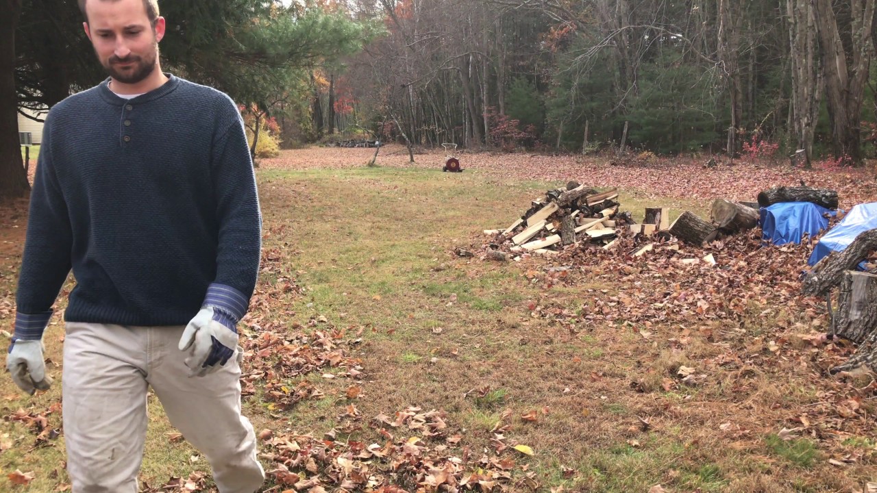 My $10 Leaf Blower!!!