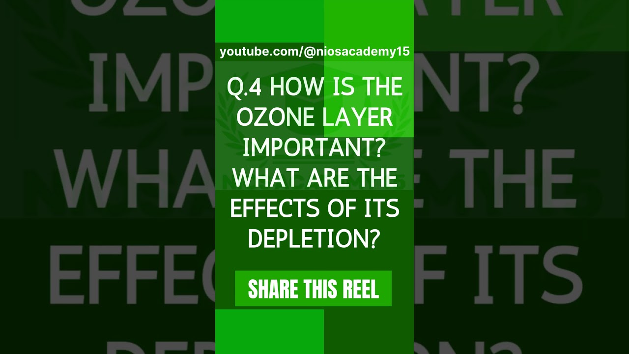 NIOS 12th HOME SCIENCE (321) IMPORTANT QUESTIONS FOR OCTOBER 2025 EXAM