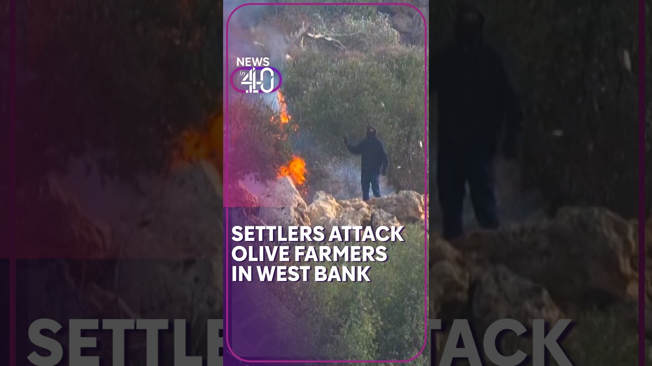 Masked Israeli settlers set fire to olive trees and attack Palestinians in occupied West Bank