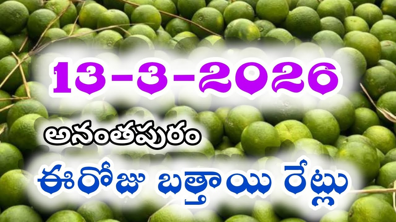 March 13ఈరోజు బత్తాయి రేట్లు|today orange rate in Anantapur, banglore || today mosambi rate in Delhi