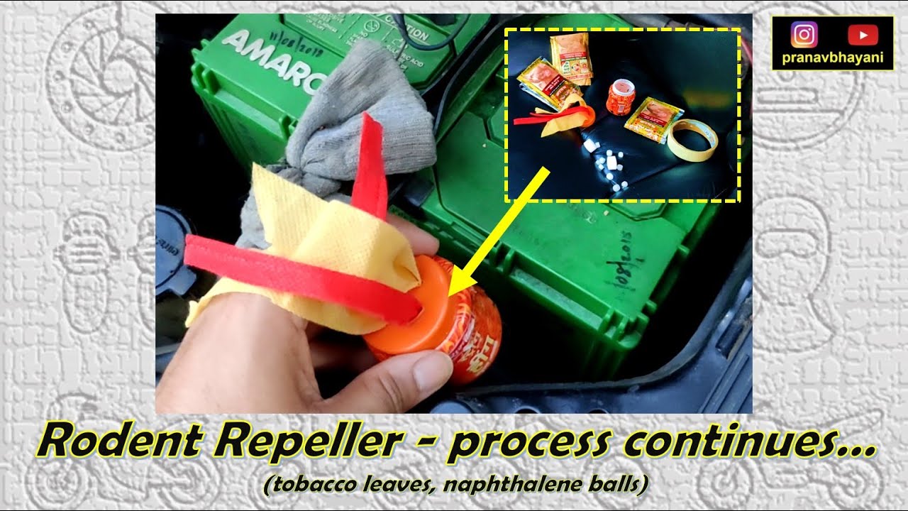 Rodent Repeller for vehicles - process continues (2020)