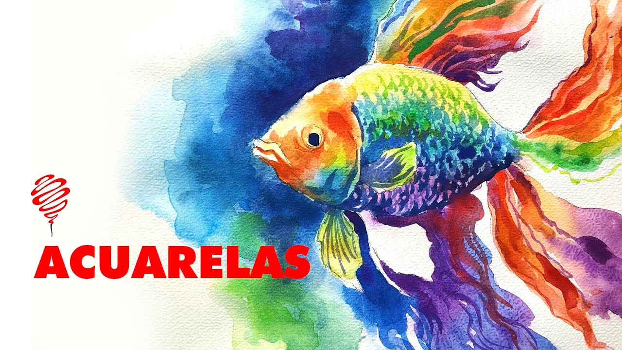 Ejercicio con ACUARELAS