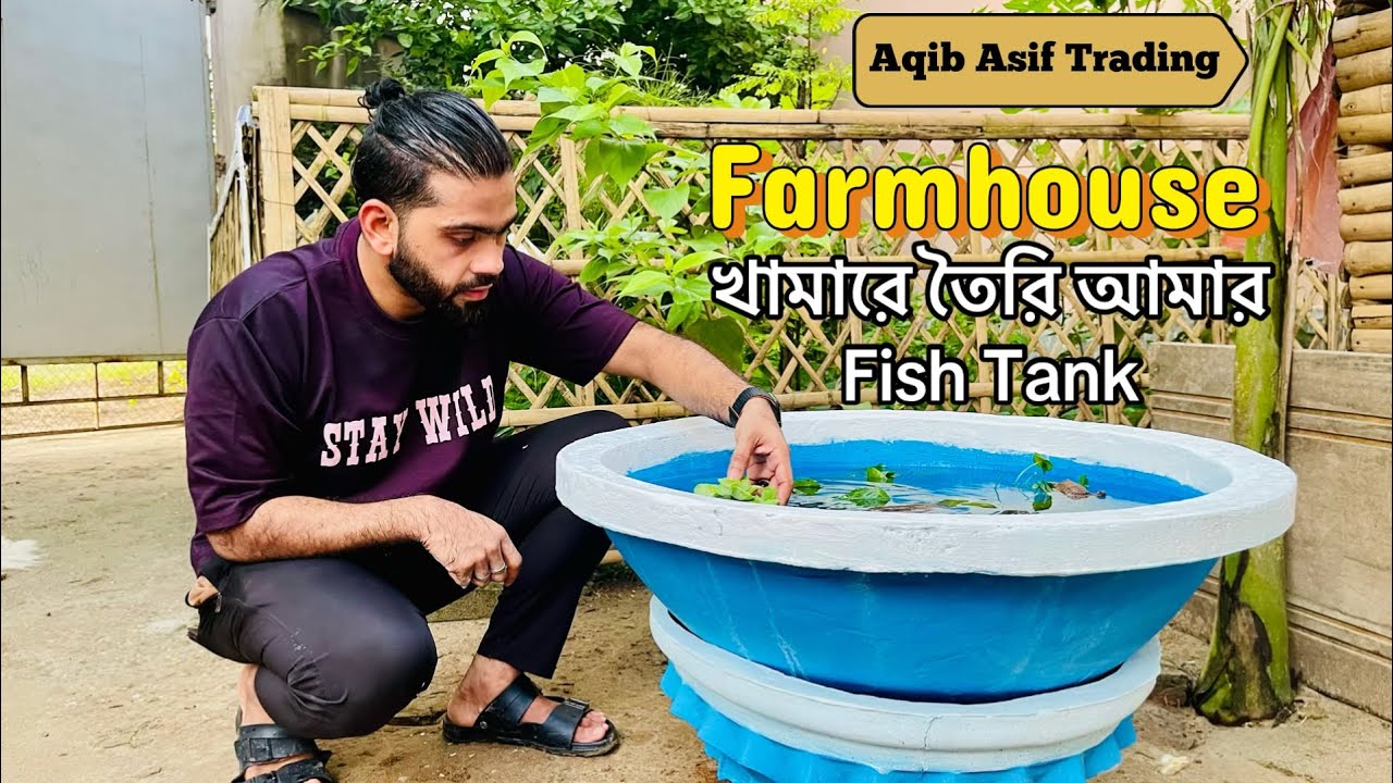 খামারে তৈরি আমার Fish Tank | খামার | খামারবাড়ি | বাগানবাড়ি | Farm | Farmhouse | Aqib Asif Trading |