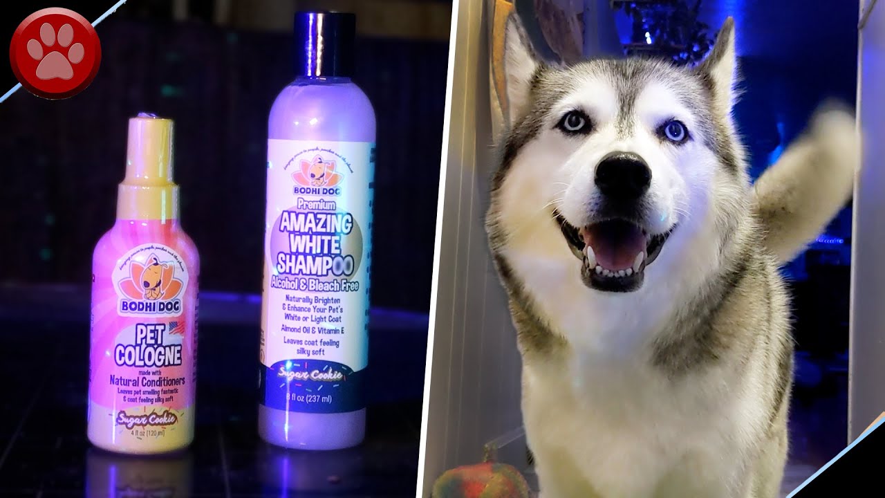 Bodhi Dog Pet Shampoo & Cologne