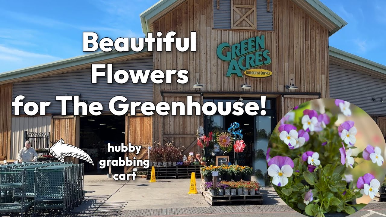 October Garden Shopping for Greenhouse Flowers