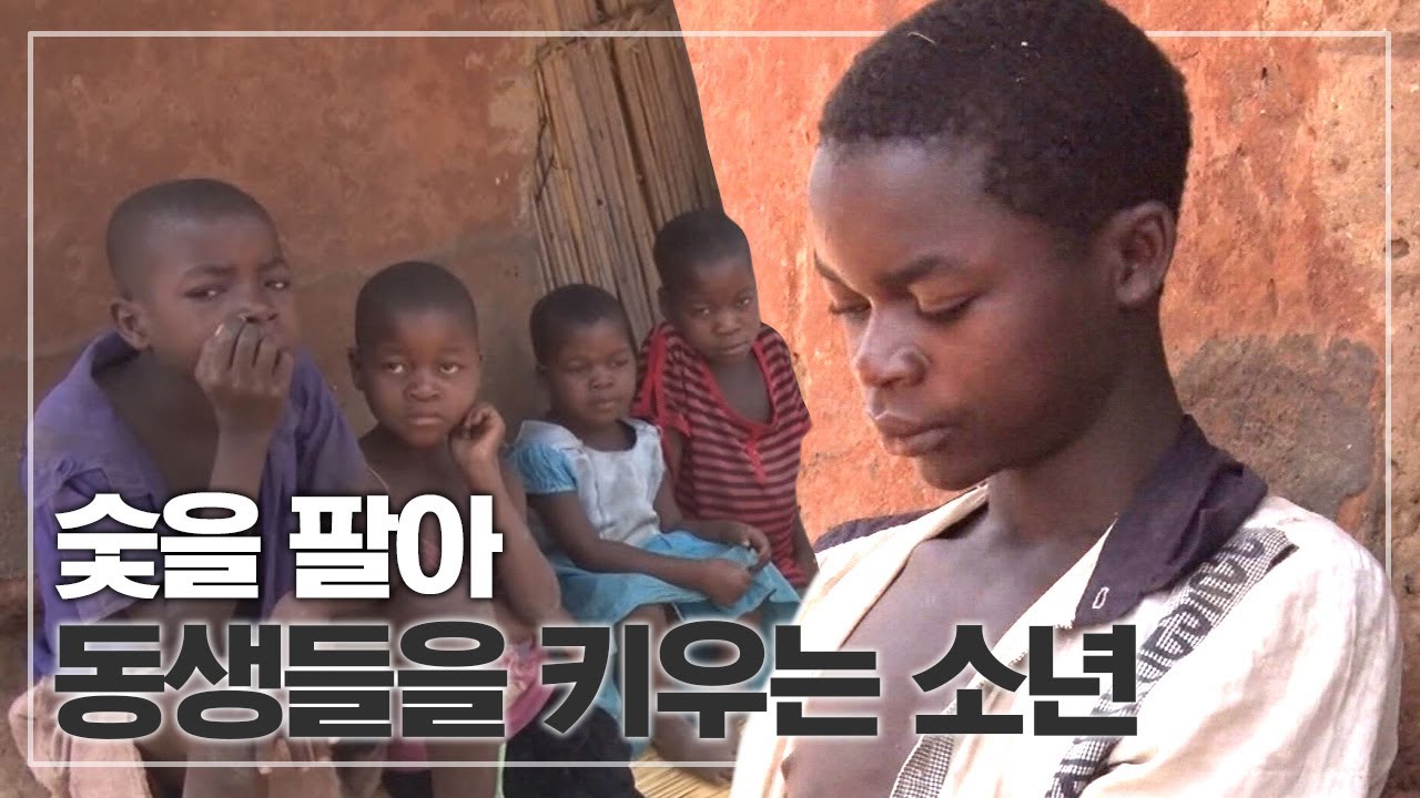 네 명의 동생들을 위해 가시나무를 베어 숯을 만들어파는 어린 형